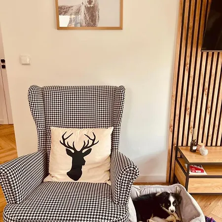 Apartment Deer