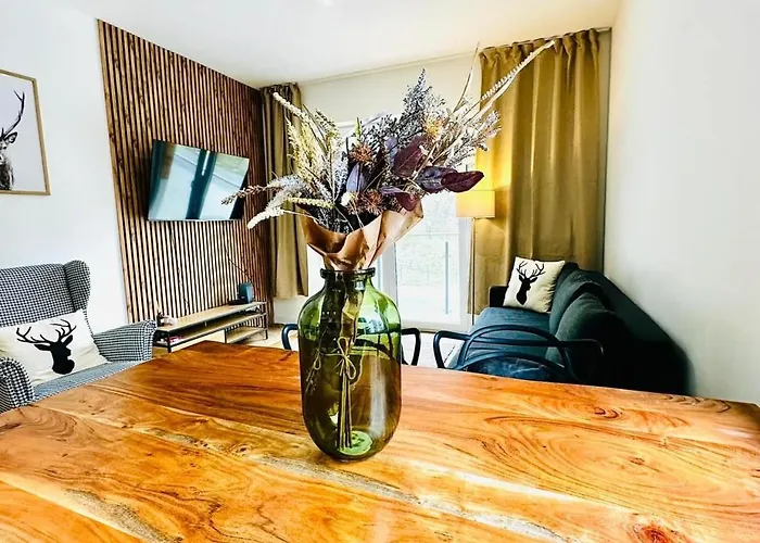 Deer דירה ויסלאו